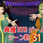 NTRAGON QUEST hentai game cover