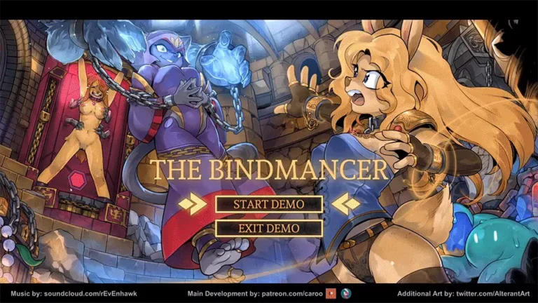 The Bindmancer cover The Bindmancer cover