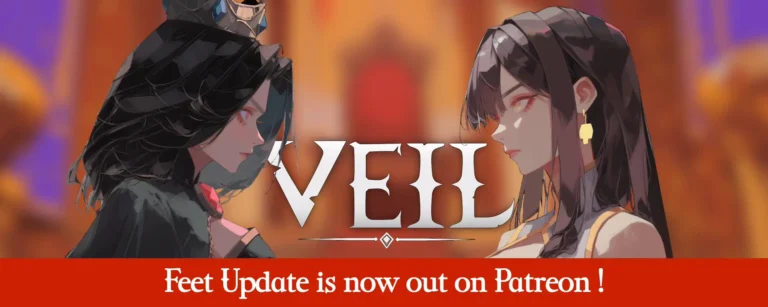 Veil cover